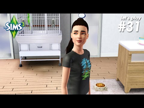 Vídeo: Los Sims 3 No Usarán DRM