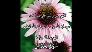 سورة الإخلاص | الشيخ فارس عباد،استغفر الله العظيم واتوب اليه، تلاوه خاشعه(1)