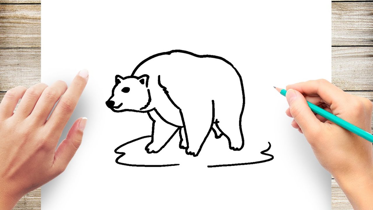 How to Draw a Polar Bear Step by Step for Kids - YouTube