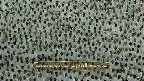 صلاة الفجر للشيخ أ.د ياسر الدوسري اليوم السبت ٢ جمادى الأولى ١٤٤٤هـ فواتح سورة يوسف ١ - ٢٩