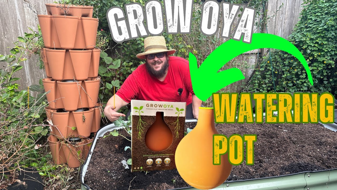 What is an Oya? It Helps Save Time and Water in the Garden