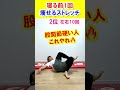 【寝る前-3kg】股関節ほぐして痩せ体質になるストレッチTOP3