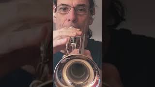 jazzmusic bebopjazz bebop trumpet beginner improvise