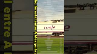 🚄❓ ¿Por qué se interrumpieron los trenes Galicia Madrid? #shorts