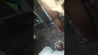 Novinhas Dançando Funk Leia A Descrição