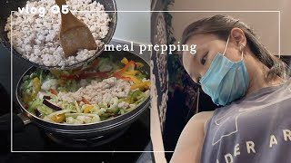 vlog ▸ meal prep cooking, DONKI grocery shopping, making kale chips