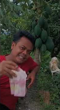 dana kenakalan cair mase...!!