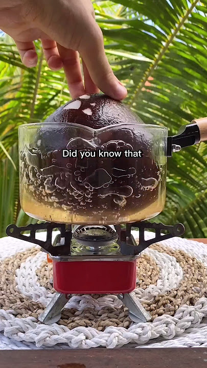 Everyone Needs to Try This! Tropical Cocoa #coconut #cocoa #tropical