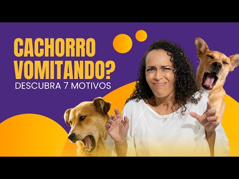 Vídeo: 5 Razões Pelas Quais Seu Cachorro Está Vomitando Bile