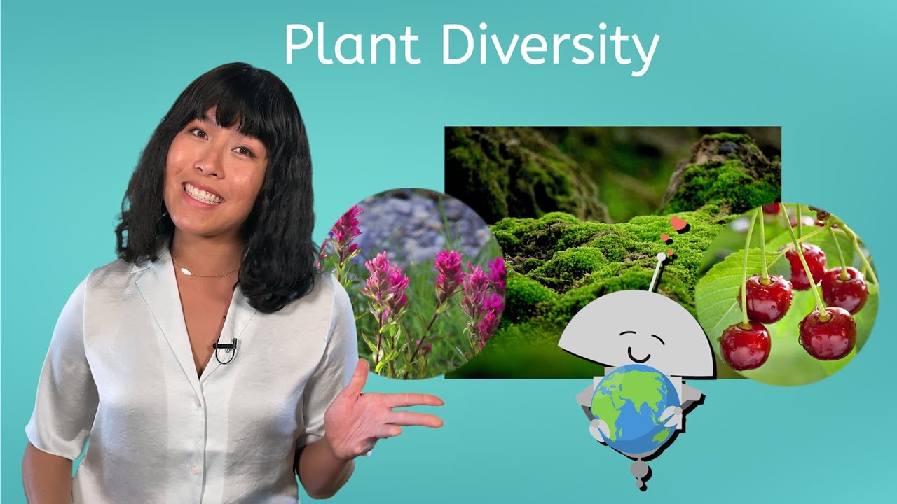 Plant Diversity - Biology for Teens!