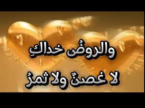 الكون عيناك لا شمس ولا قمر