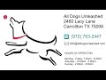 In home Dog Training Dallas In home Dog Training Dallas