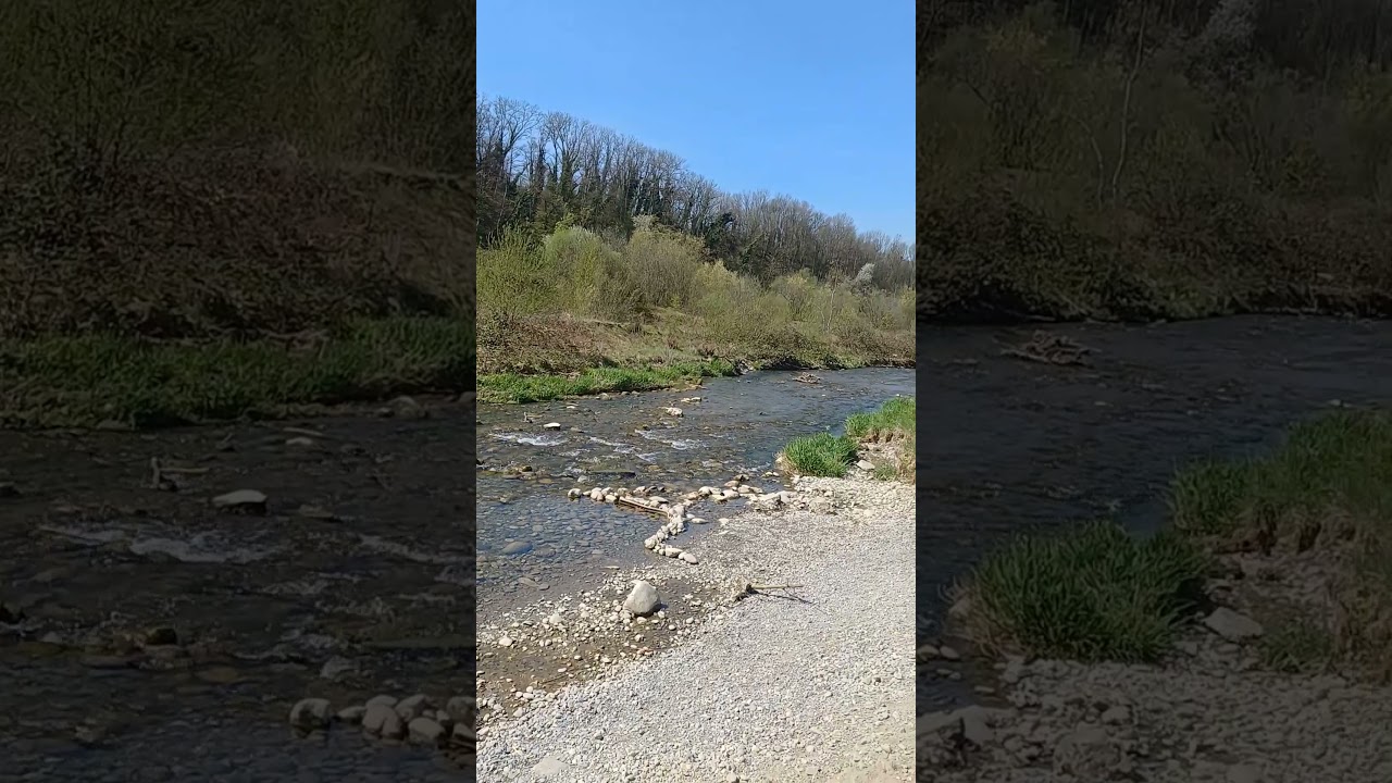 Wundervoller mystischer Ort zum die Seele baumeln lassen