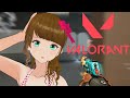 【VALORANT】VALO GRIND 【EN/TAG】