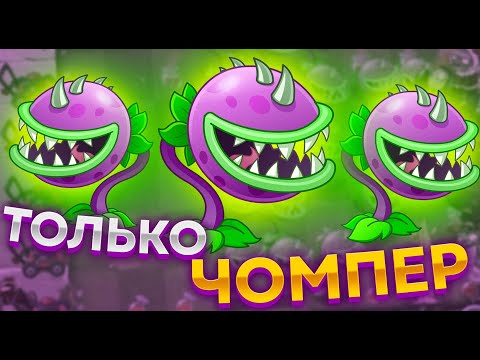 Video: Чомпер үңкүрүндөгү мүчүлүштүктөр кайда?