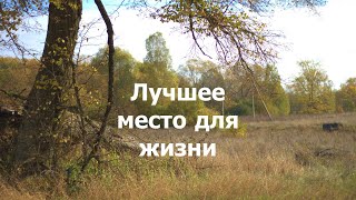 Плюсы жизни в деревне