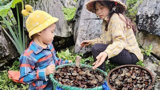 Download Lagu The boy and his mother went into the forest to pick up strange snails in the rocky mountains MP3 Download Lagu The boy and his mother went into the forest to pick up strange snails in the rocky mountains MP3