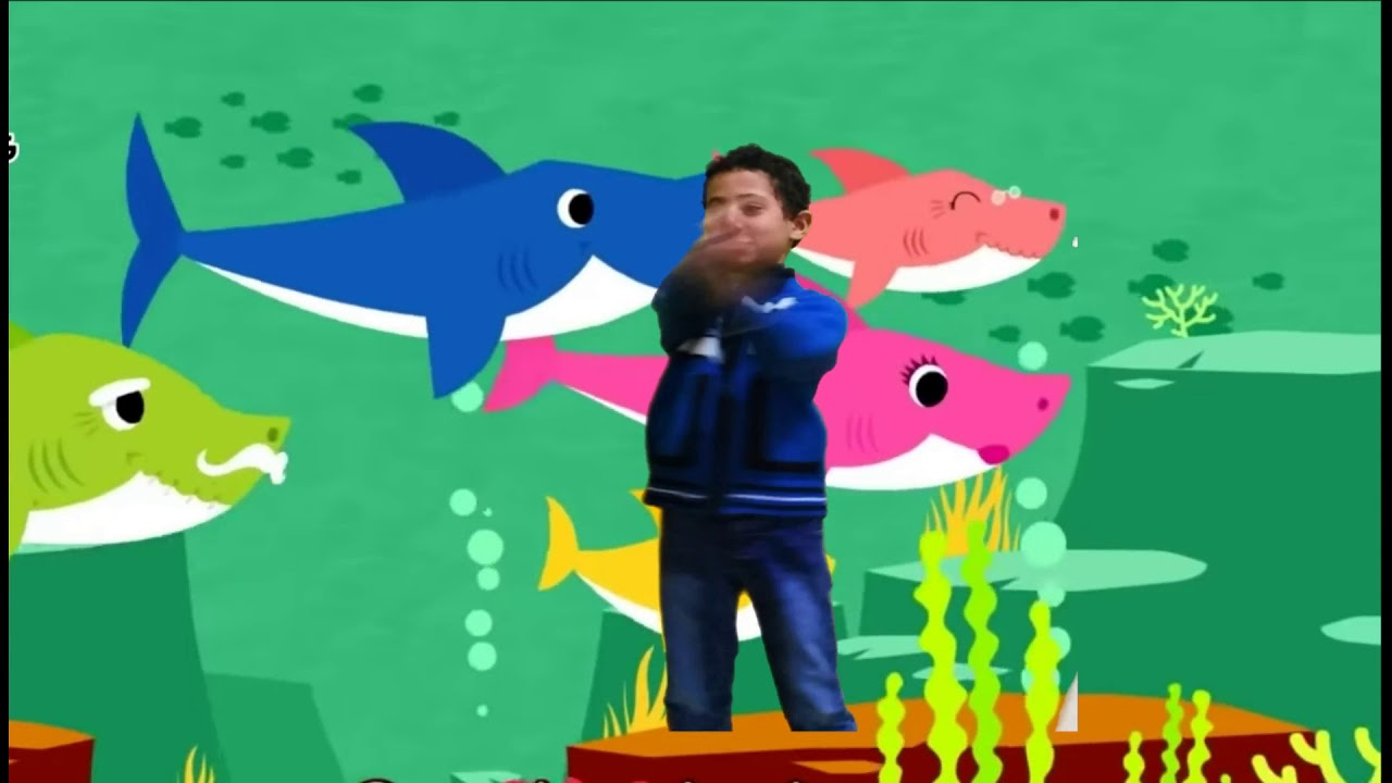 بيبي قرش 2 أطفال مرحه وممتعه  بدون ايقاع baby shark 2