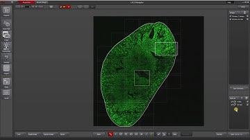 Leica LAS X Navigator: Quick Start & Tile Scan