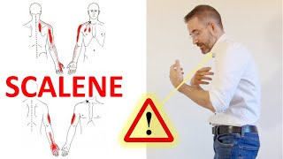 Stretch Your Neck Scalenes Muscles | Scalene Muscle Release