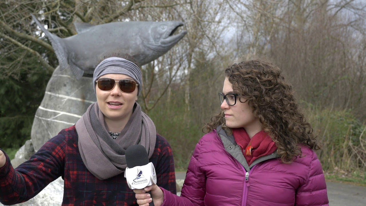 Volunteer with Skagit Fisheries Enhancement Group