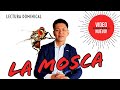 LA MOSCA / NUEVO VIDEO YOKOI KENJI