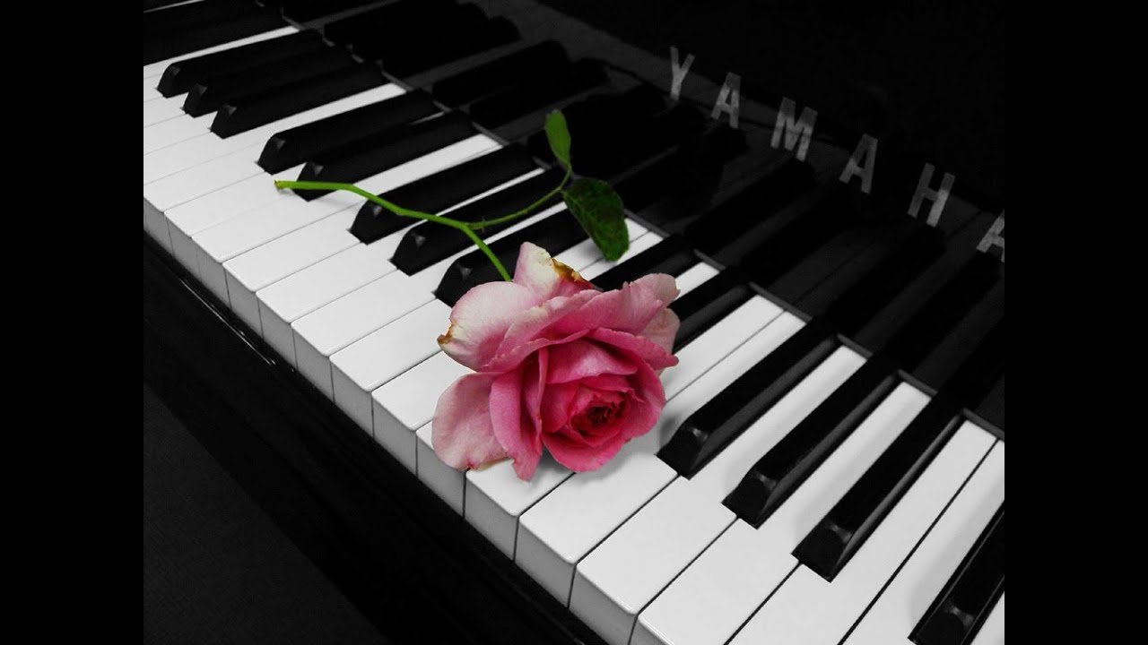 Нежная мелодия на звонок. Розы на рояле. Пианино лепестки. Цветок на клавишах рояля,черно белое. Цветы на клавишах черно белое.