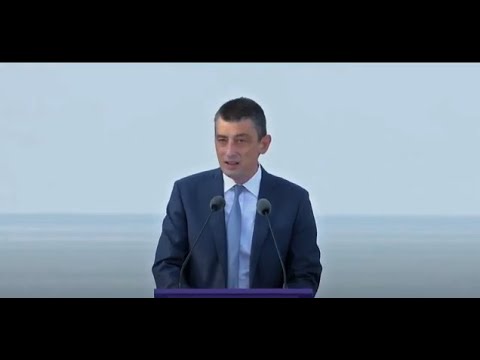 გიორგი გახარიამ ბათუმში კანდიდატები მხარდამჭერების შეკრების გარეშე წარადგინა