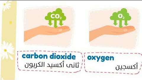 Connect plus 5 | unit 1 lesson 5