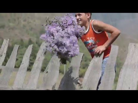 ბაკურიანი - ბედნიერების მარტივი ფორმულა