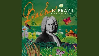 Video thumbnail of "Camerata Brasil - Lute Partita in C Minor, BWV 997: I. Prelude"