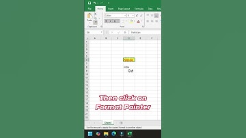 How to Use Format Painter in Excel #formatpainter #useofformatpainter #excel #microsoftexcel #ms