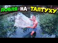 На эту ТАПТУХУ можно выловить ВСЮ РЫБУ! Рыбалка на своём пруду!