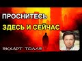 ЭКХАРТ ТОЛЛЕ | НЕГАТИВНОСТЬ. ЗДЕСЬ и СЕЙЧАС. ПРОСНИТЕСЬ!