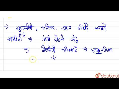 वीडियो: क्या सभी कीड़ों में मैल्पीघियन नलिकाएं होती हैं?