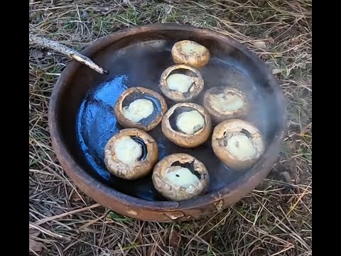 ქამა სოკო სულგუნით. ტყეში მომზადებული კეცზე. Kama mushroom sulgunit. Prepared in the woods. GEORGIA.