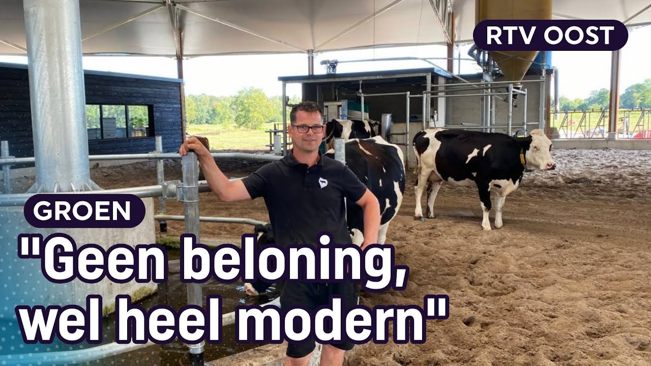 Boer Christian heeft vrije uitloop stal op zand voor zijn koeien | RTV Oost