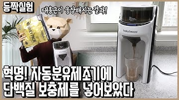 놀라운 결과! 단백질 보충제를 자동분유제조기에 넣어보았다(feat.미숫가루,핫초코,아이스티) l 등짝실험