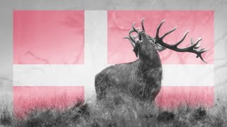 Red Deer Rut 2023: How amazing is this! | Silent movie