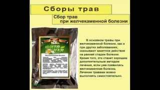 Сбор трав при желчекаменной болезни Сбор трав при желчекаменной болезни