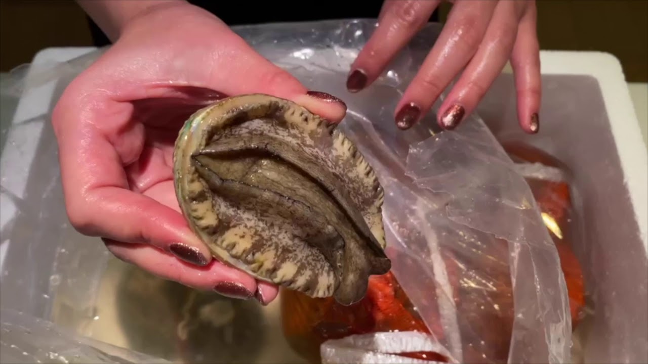 由良のアワビ屋届いてから保存する方法 Youtube 由良のアワビ屋届いてから保存する方法 Youtube