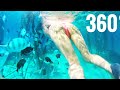 Underwater 360° video snorkeing Google Cardboard Samsung Gear 360 Waterproof case VR Box