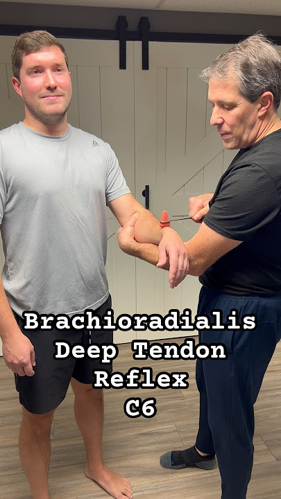 Brachioradialis Deep Tendon Reflex for C6 NRC #physicaltherapy