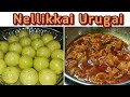 நெல்லிக்காய் ஊறுகாய்| Nellikkai Urugai|Amla Pickle|Gooseberry Pickle|Orugai recipe