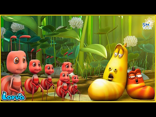 Larva Terbaru 2022 🐛 Musuh Yang Kuat 😱 1 Jam Relaksasi Dengan Film Kartun Terbaik Sub Indonesia class=