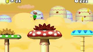 Neo Super Mario Bros. DS [#2]