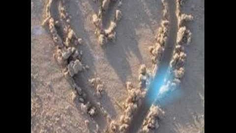 Springtime of an Angel