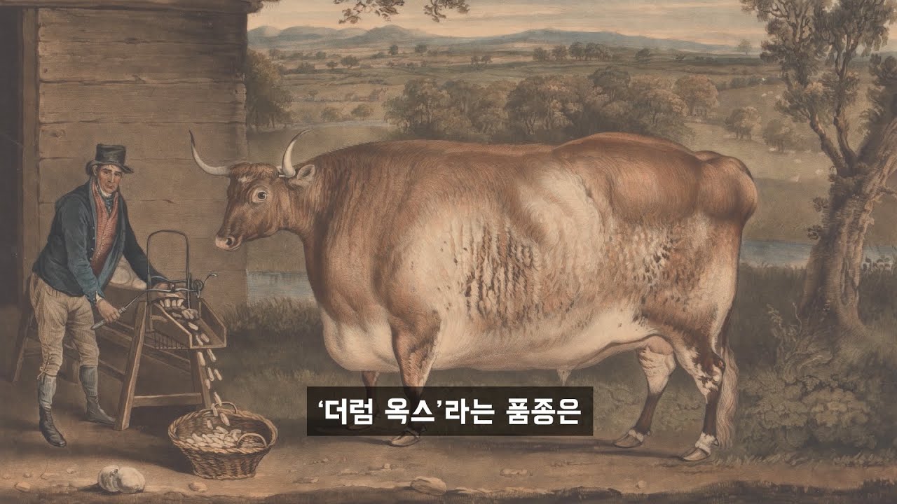 살아있는 소