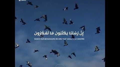 قرآن الكريم بصوت عبدالرحمن مسعد 😊🖤 اجمل حالات واتس اب دينية سورة يونس 🎧 تلاوة خاشعة مبكية