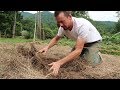 Cover Your Garden With Hay And This Will Happen